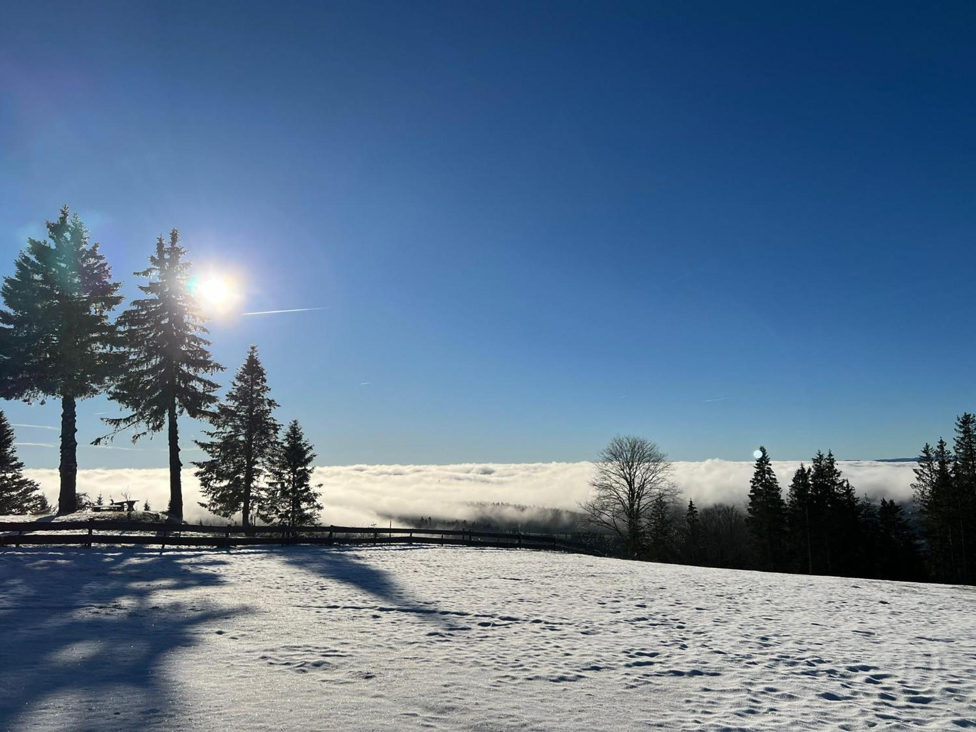 Naturfreundehaus Brend Furtwangen Eksteriør bilde